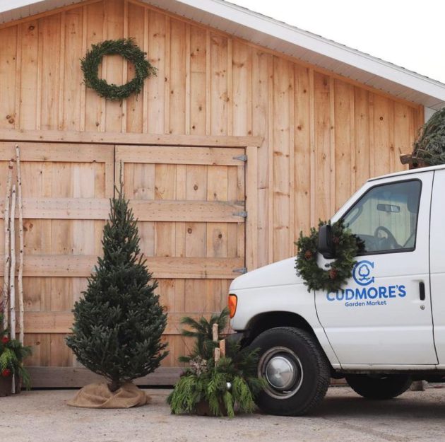 Cudmore's truck surrounded by custom Christmas plants such as a Christmas tree, wreaths and evergreen arrangements.