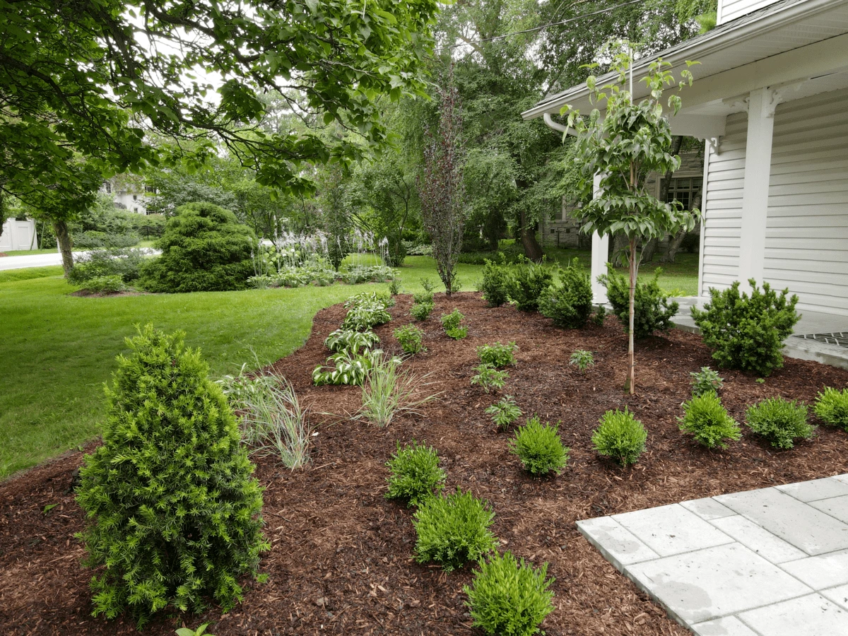 Wide angle image of a flower bed as it transitions to the manicured side yard.