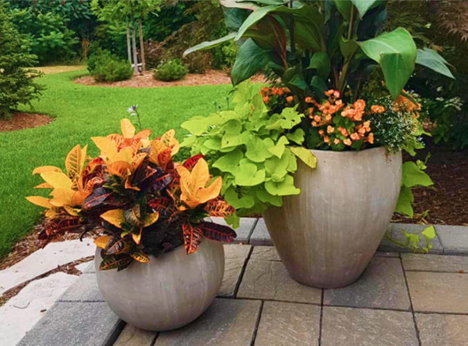 Custom large pottery containers and planters for plants.