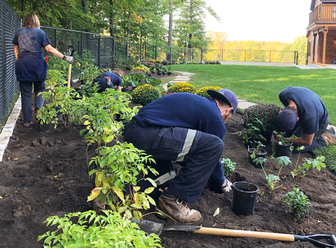 Cudmore's crew planting new plants and ferns in a garden bed.